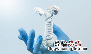 抗体有什么组成 抗体的结构是怎么样的呢