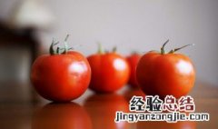 砂锅西红柿顿豆皮怎么做好吃 西红柿炖豆皮怎么做好吃窍门