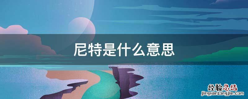 亮度200-300尼特是什么意思 尼特是什么意思