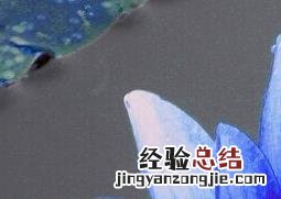 蓝莲花种植技术 蓝莲花种植方法步骤