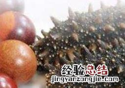 海刺参的功效和作用 刺海参的功效与作用