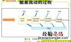 能量流动的概念 能量流动的概念简述
