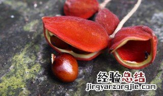 凤眼果是什么 凤眼果介绍