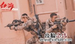 红海行动真实事件 电影是根据什么改编的