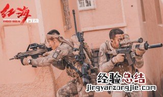 红海行动真实事件 电影是根据什么改编的