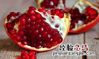 石榴用拼音怎么拼写 石榴拼音怎么写