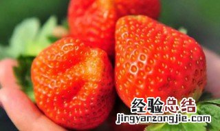 草莓自然生长什么时候熟 草莓自然成熟的季节是什么时候