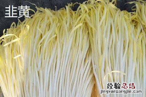黄韭和韭菜有什么区别 韭黄跟韭菜是不是一个品种