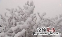 snow的第三人称单数形式 第三人称单数形式分享