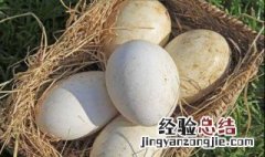 双黄鹅蛋的营养价值及功效与作用 鹅蛋的营养价值及功效与作用