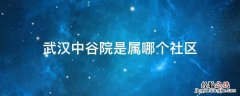 武汉中谷院是属哪个社区 武汉市中谷苑社区