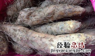 姜薯哪些人不适合吃 姜薯糖尿病患者不适合吃