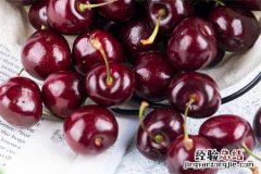 智利车厘子上市时间和结束时间是什么时候？怎么运输到中国的？
