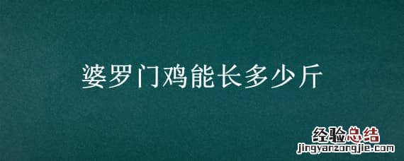 巨型婆罗门鸡能长多少斤 婆罗门鸡能长多少斤