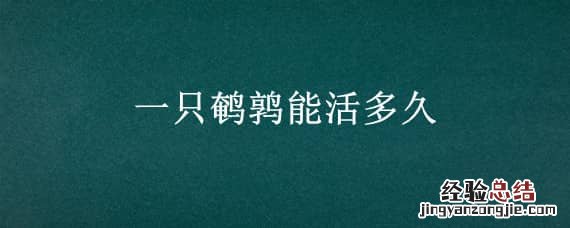 一只鹌鹑能活多久 一只鹌鹑正常能养多久