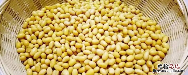 豆子里生的会飞的虫子怎么根除 豆子生飞虫满屋子都是怎么办
