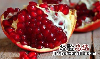 石榴用英语怎么说 石榴用英语怎么说?