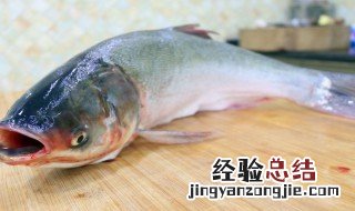 吃鲢鱼的注意事项 吃鲢鱼的注意事项有什么