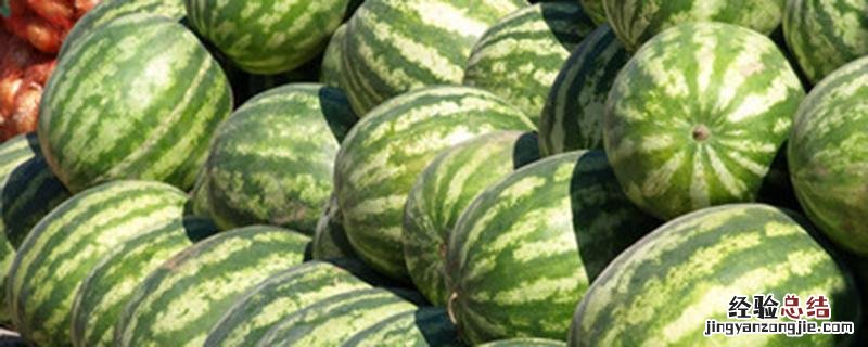 西瓜多少天停止膨大 西瓜多少天停止膨大西瓜僵果冲施啥肥