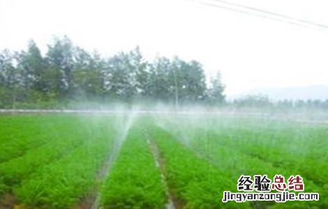 花生灌溉合理方法视频 花生灌溉合理方法