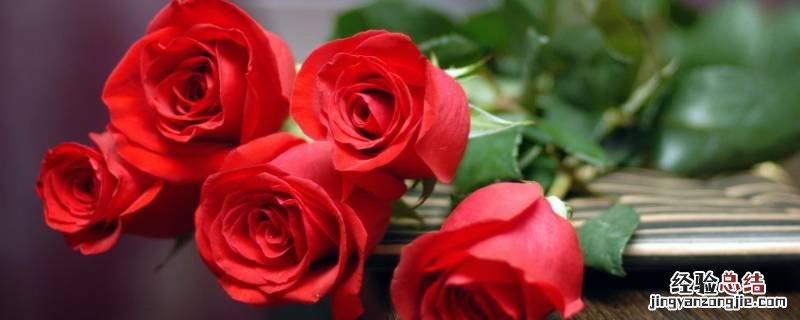 蓝玫瑰花语是什么意思 红玫瑰花语是什么意思
