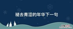渐渐褪去当年的青涩,下一句? 褪去青涩的年华下一句