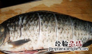 鲫鱼的功效与作用禁忌和食用方法 鲫鱼的功效与作用是什么