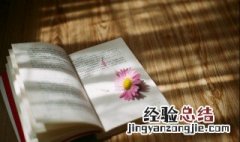 婺源怎么读拼音 婺源的拼音