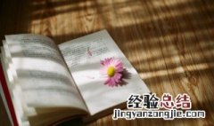 檎怎么读 檎的读音