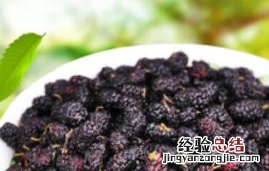 女人吃桑葚的禁忌和用量 女人吃桑葚的禁忌