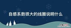 线圈的自感系数只与线圈的形状大小 自感系数很大的线圈说明什么