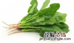 菠菜的原味做法 菠菜的原味怎样做好吃