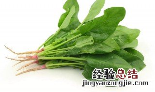菠菜的原味做法 菠菜的原味怎样做好吃