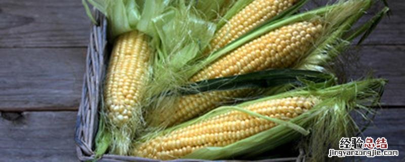 玉米叶子发黄缺什么肥料 玉米叶子发黄缺什么肥
