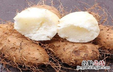 毛薯的种植时间与方法 毛毛薯怎么种植