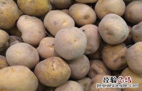 秋季土豆什么时候种植 秋季土豆什么时候种植最合适