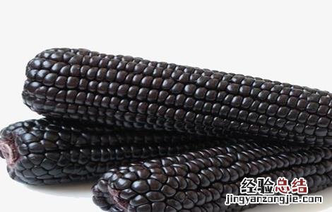 黑玉米产地是哪里 黑玉米产地在哪里
