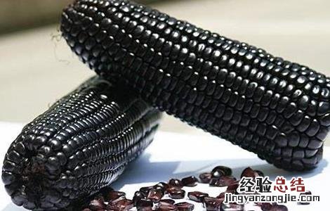 黑玉米产地是哪里 黑玉米产地在哪里