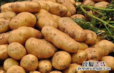 马铃薯怎样才能高产 马铃薯怎么种植才高产