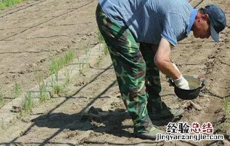 大豆田间除草 大豆除草方法及注意事项