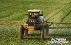 大豆田间除草 大豆除草方法及注意事项