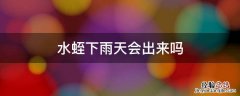 下过雨之后会有水蛭出来吗 水蛭下雨天会出来吗