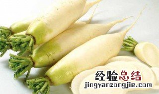 萝卜的营养价值及功效与作用 萝卜的营养价值及功效与作用图片