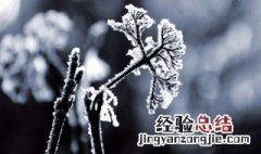 一年中的最后一个节气是什么时候 一年中最后一个季节是什么时候