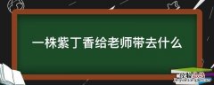 一株紫丁香给老师带去什么 一株紫丁香是写给老师的事吗