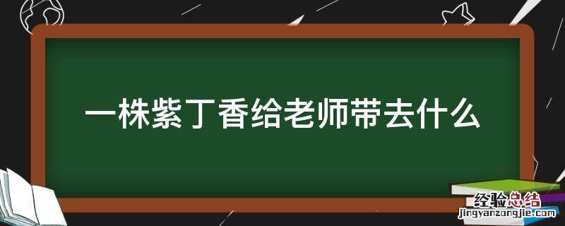 一株紫丁香给老师带去什么 一株紫丁香是写给老师的事吗