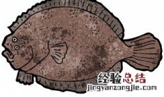 比目鱼的营养价值 比目鱼有什么营养价值