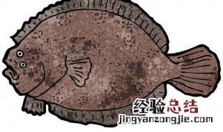 比目鱼的营养价值 比目鱼有什么营养价值