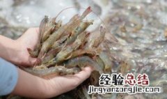 煮河虾怎么煮好吃窍门 河虾怎么煮才好吃