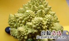 宝塔菜怎么吃 宝塔菜如何吃